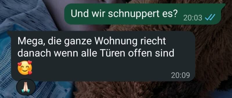 screenshot_20261010-151014_whatsapp-standard.jpg