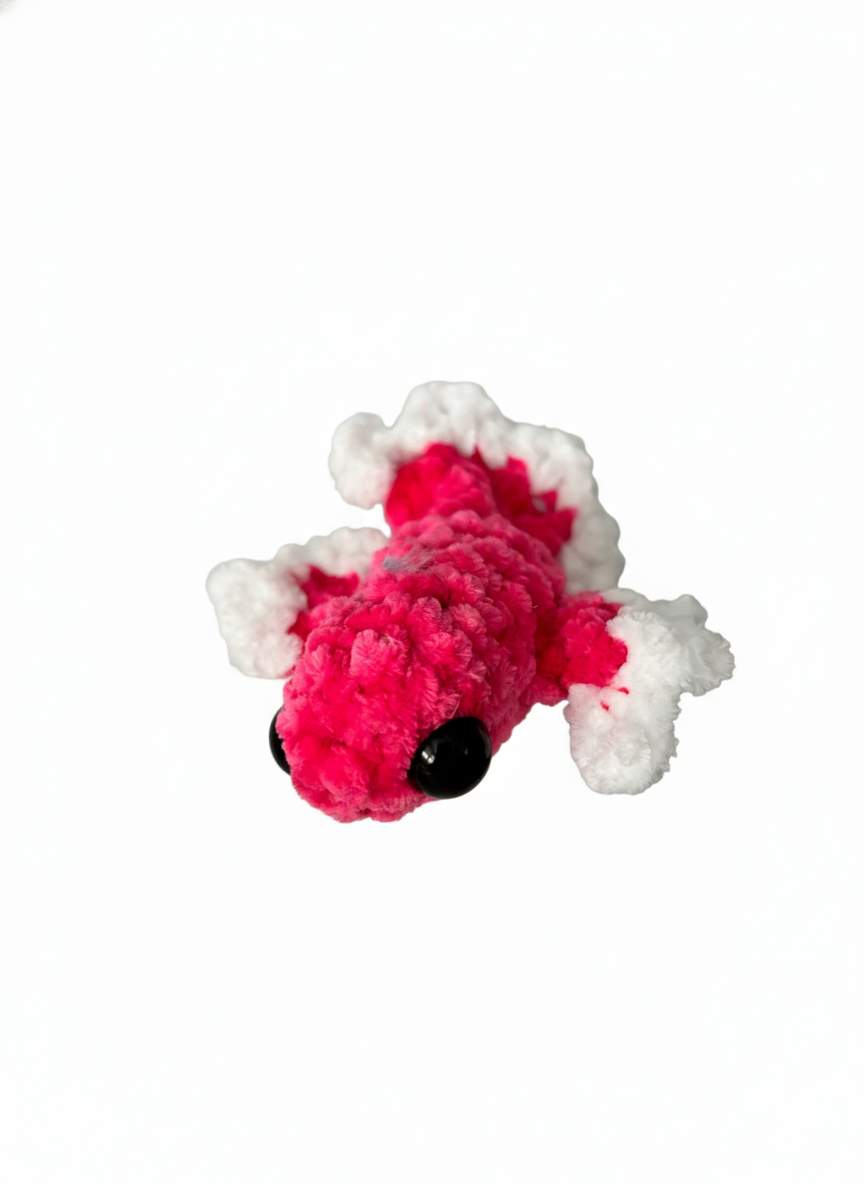 Mini hot pink w/ white betta