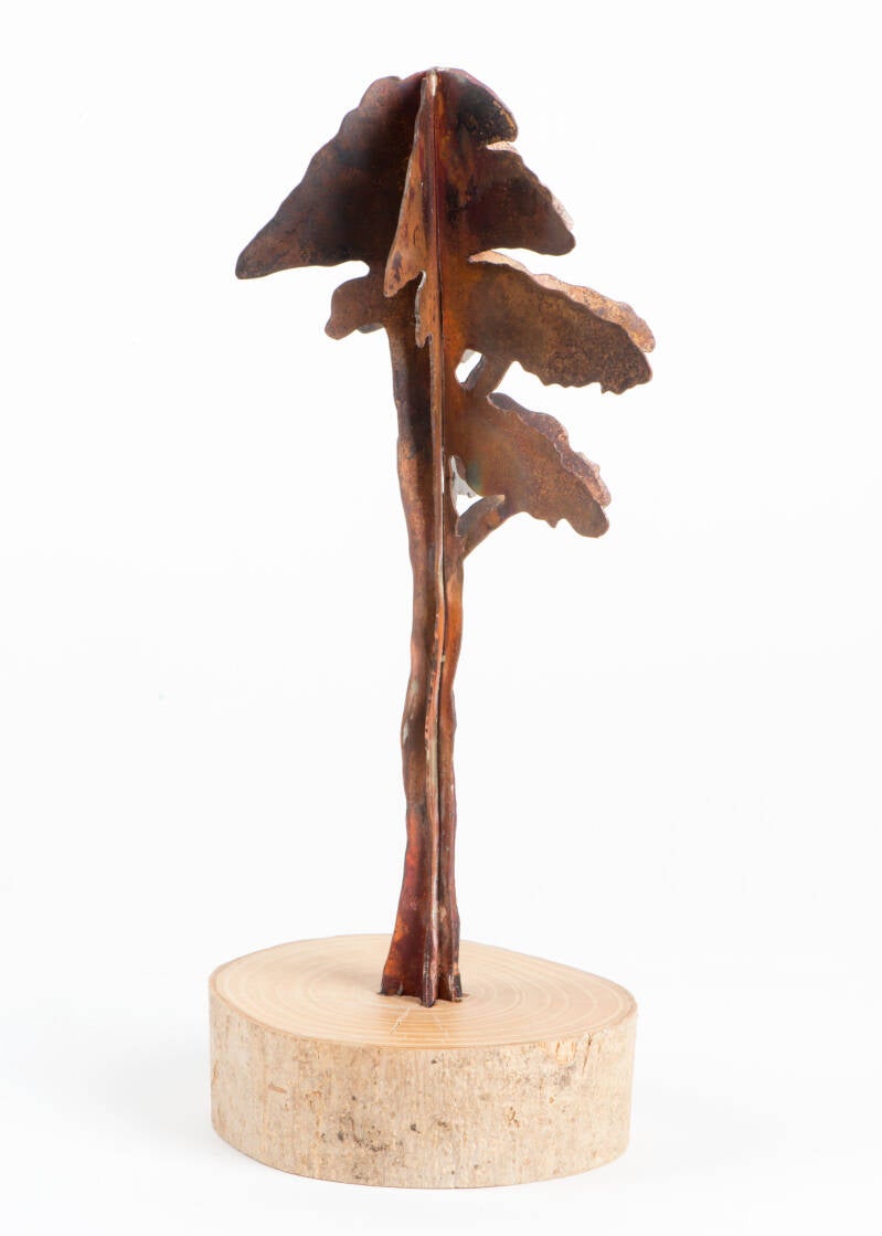 Een verbeelding van een Acacia die is opgebouwd uit 3 lagen koperplaat. Oorbellen in de vorm van een ellipsvormigblad en waterdruppel. Goud. Handgemaakt  door  Marlies van Velzen.