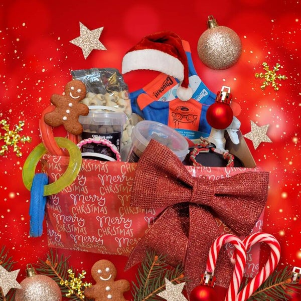 Adventskalender Hond XL