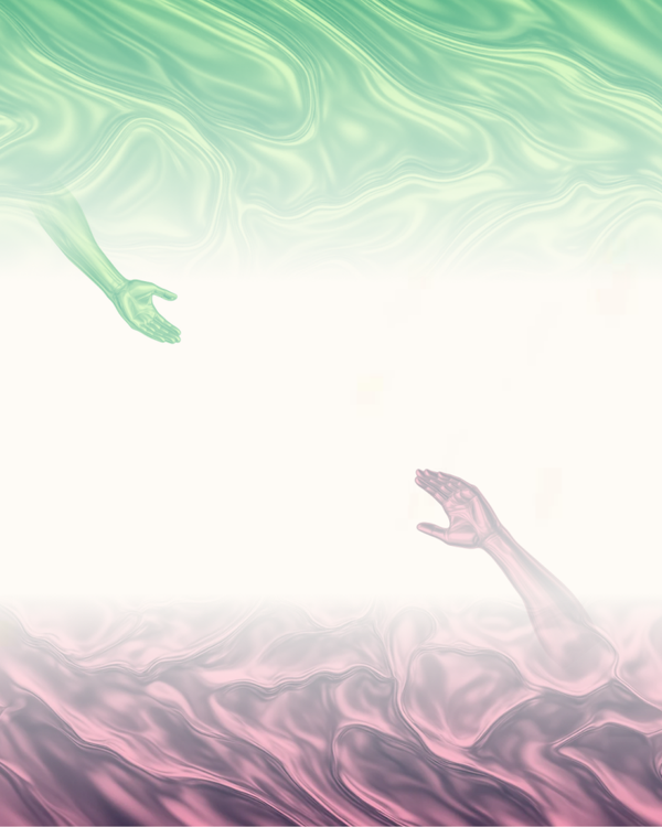 ROOTED II