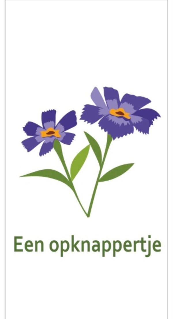 Cadeaukaartje Een opknapperjte