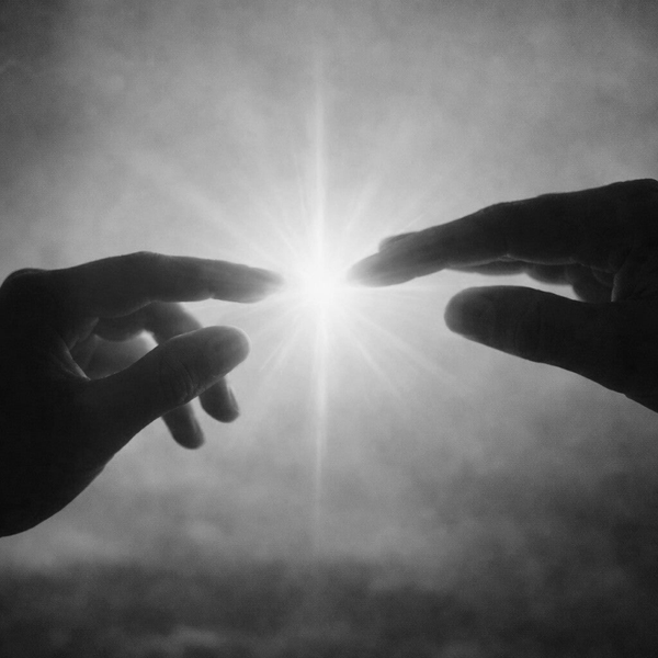 Je lichaam liegt niet – eendaagse training - EARLY BIRD - 24 april Amsterdam