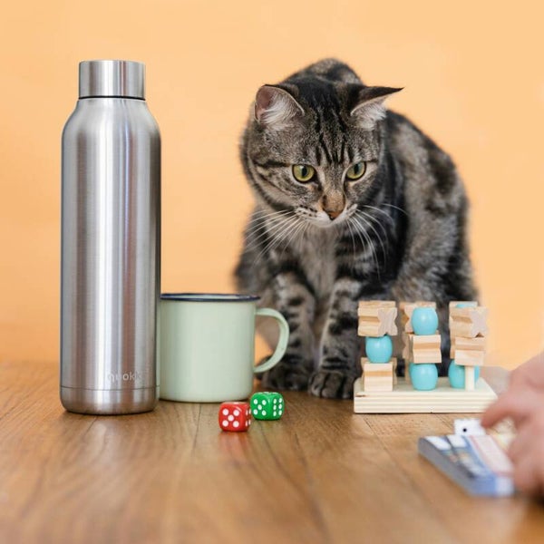 Forfait Visite à Domicile pour Chat - Jeux, Câlins et Hygiène 10 visites