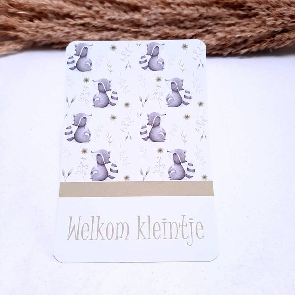 Welkom kleintje wasbeertje