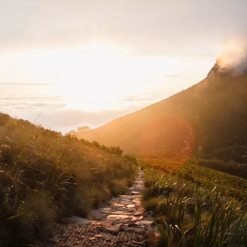 bergpad in ondergaande zon als symbool voor persoonlijke groei
