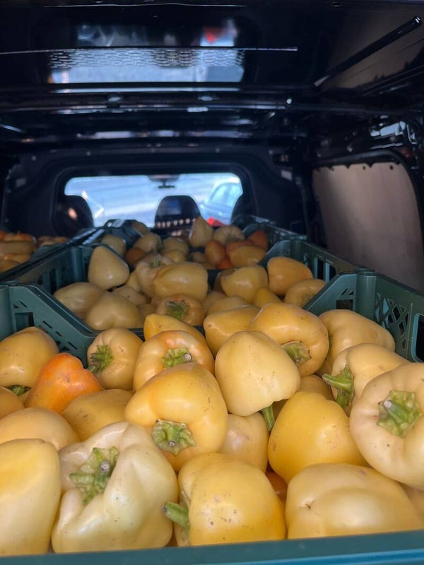 Speca BABURA NE AUSTRI | REZERVO TANI, MERRI nga Data 29'GUSHT