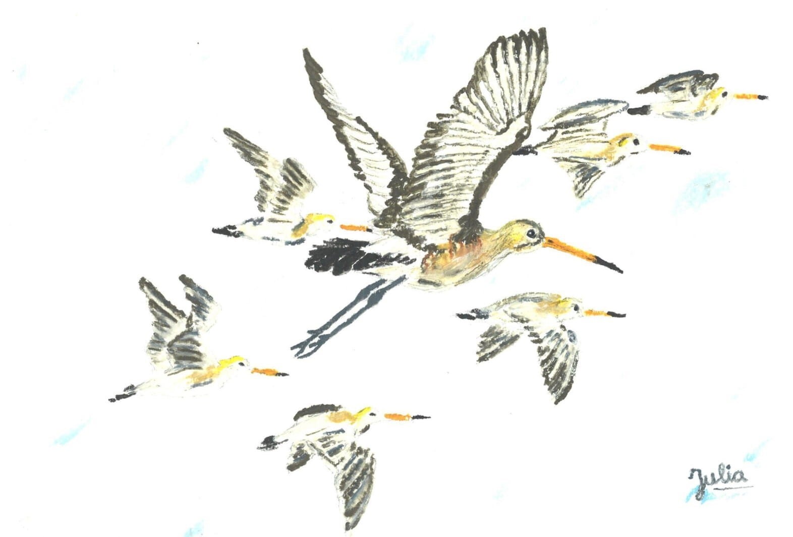 set 6 kaarten in kleur