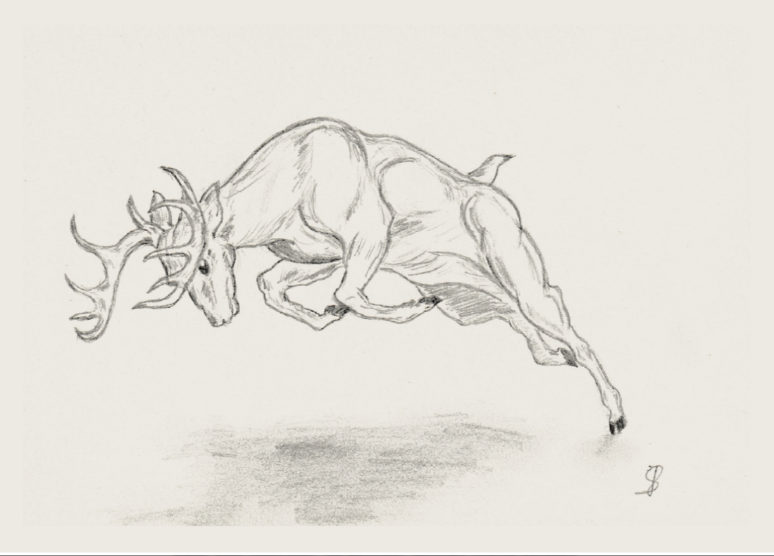 zwart-wit kaart (verschillende opties)