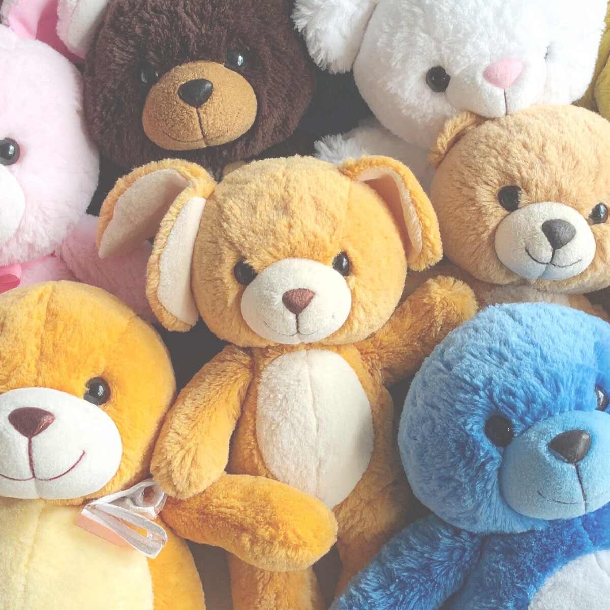 Bei sehr kleinen Kindern übernehmen die Eltern die Auswahl. Größere Kinder können bereits mitentscheiden. Dabei hilft es, keinen Druck zu machen und auch emotionale Bindungen ernst zu nehmen. Für Erwachsene ist es vielleicht nur der etwas schiefe Hase. Fü
