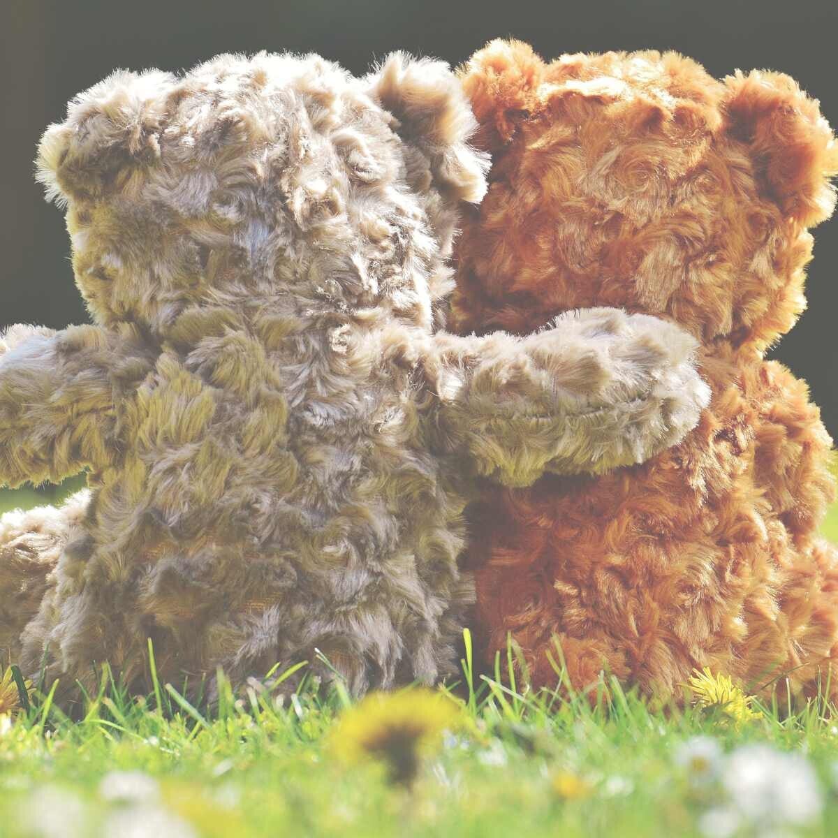 Erst aussortieren, dann organisieren  Nimm dir gemeinsam mit deinem Kind etwas Zeit und sammle alle Kuscheltiere an einem Ort. So seht ihr, wie viele tatsächlich da sind.