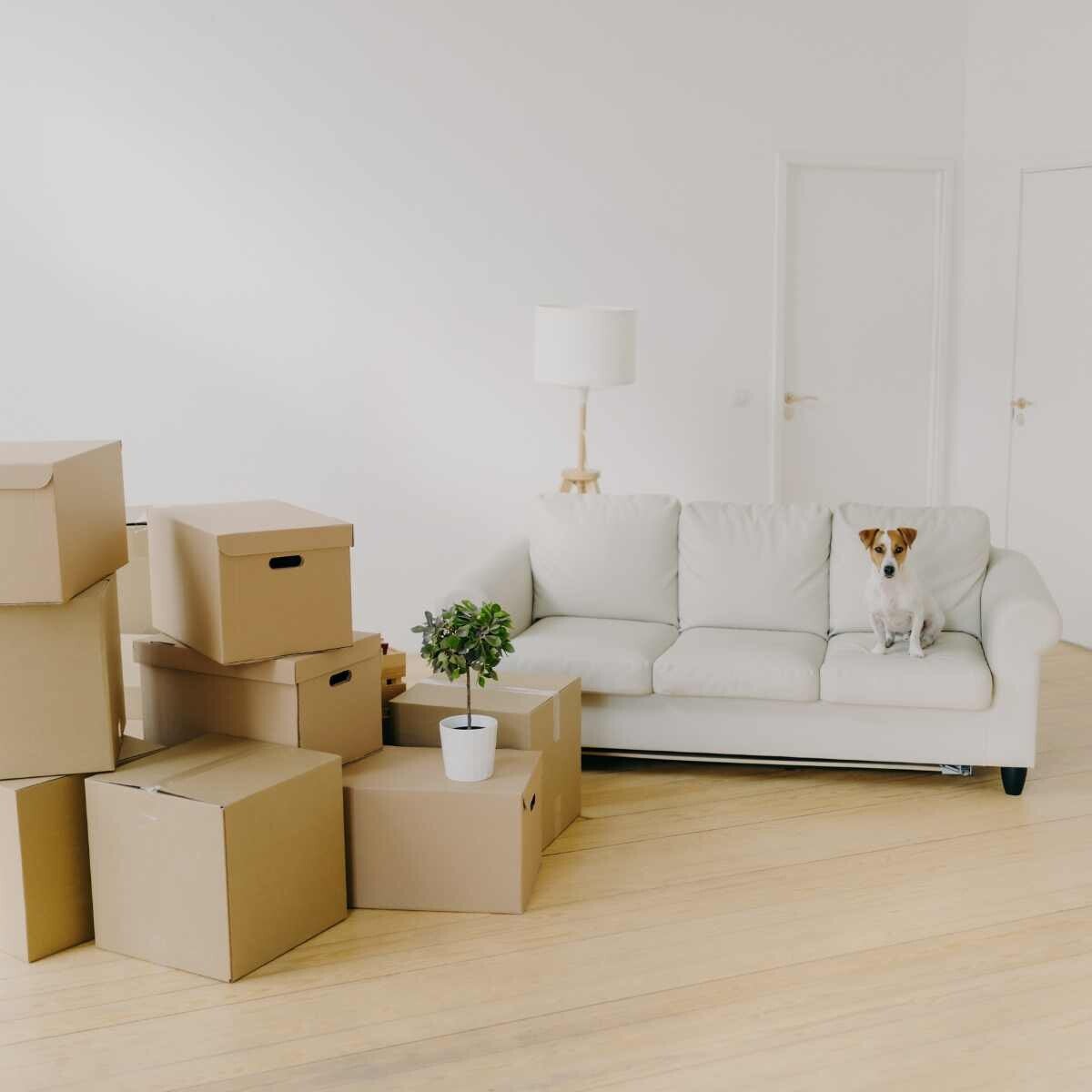 Viele Familien merken erst beim Packen, wie viel sich über die Jahre angesammelt hat. Kleidung, Spielzeug, Deko, Küchenhelfer, Ersatzteile, Kabel, alte Unterlagen, Saisonartikel, Geschenke, Dinge für irgendwann.