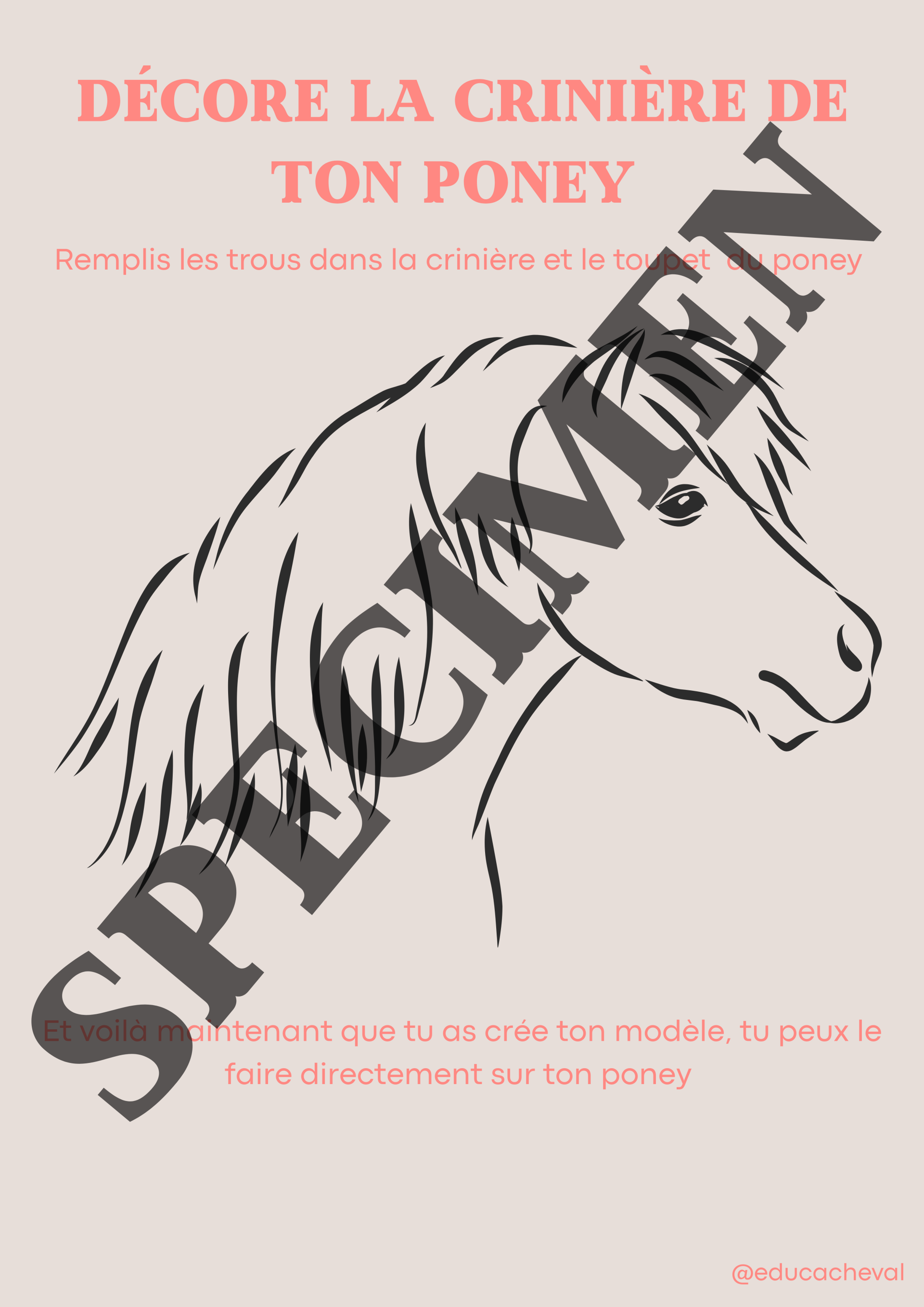 Décore la crinière de ton poney