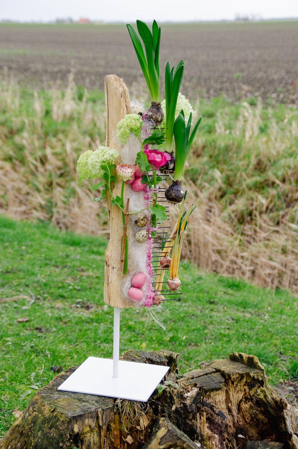 Voorjaars workshop Zondag 9 maart