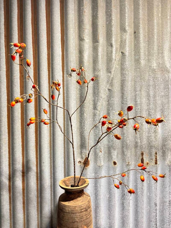 Kunstbloem Rosa Canina 120 cm