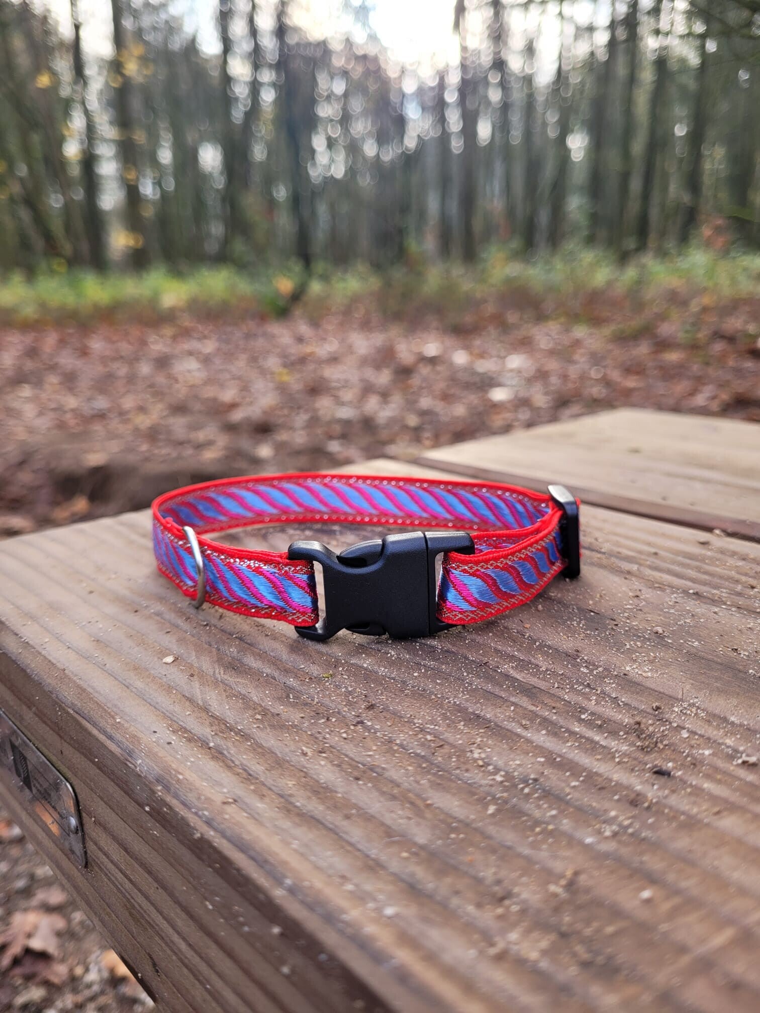 Katten en kleine honden