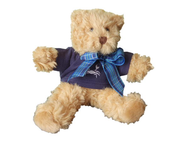 Plüschbärli mit Shirt bestickt Grösse S