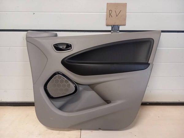 Renault Zoe Q210 Deurpaneel Rechts Voor 809000009R