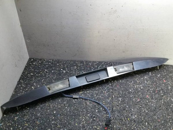 Kentekenplaatverlichting 1999 - 2003 Renault Megane Scenic I