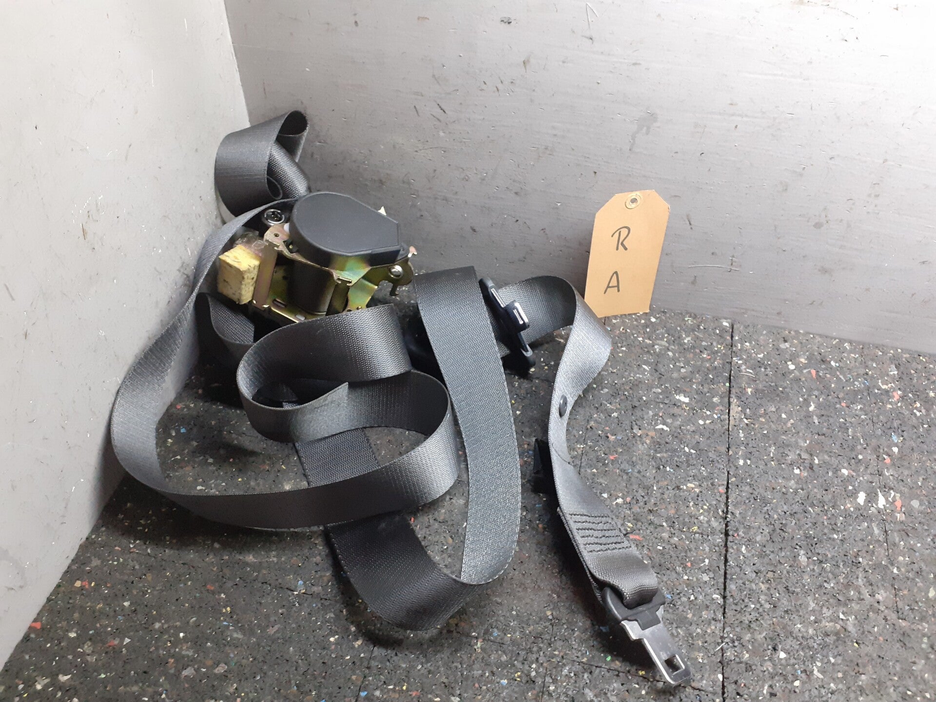 Autogordel Renault Scenic II 1.6-16V ('03-'09) 309223