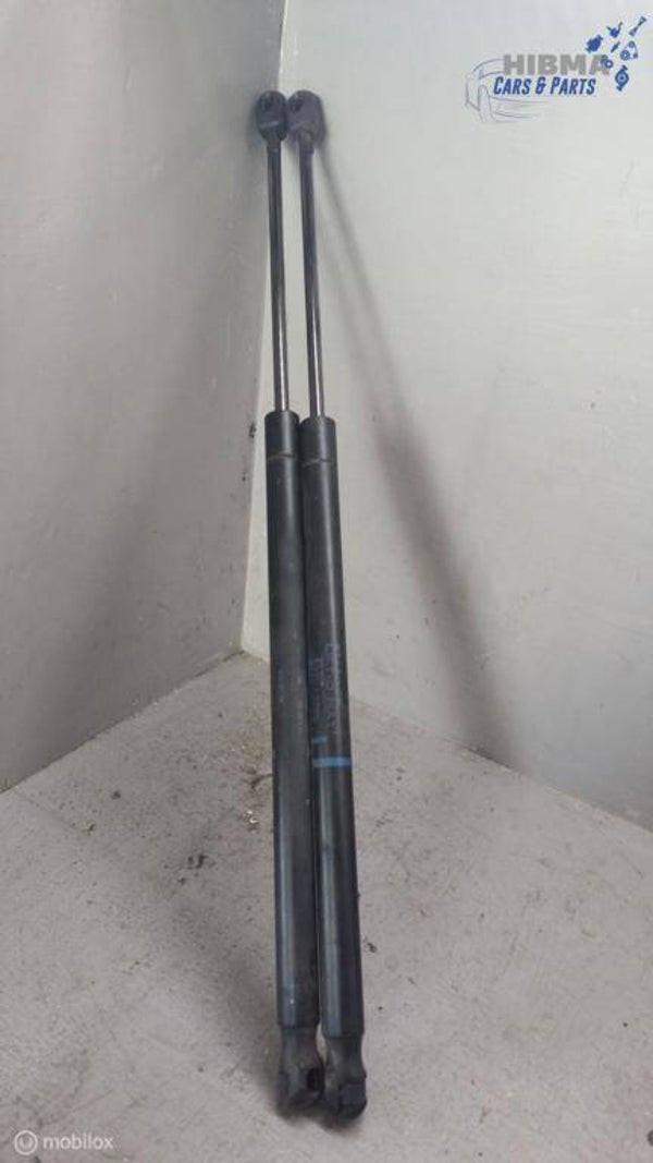 Gasveer achterklep Renault Scenic II 1.6-16V LPG ('03-'09)