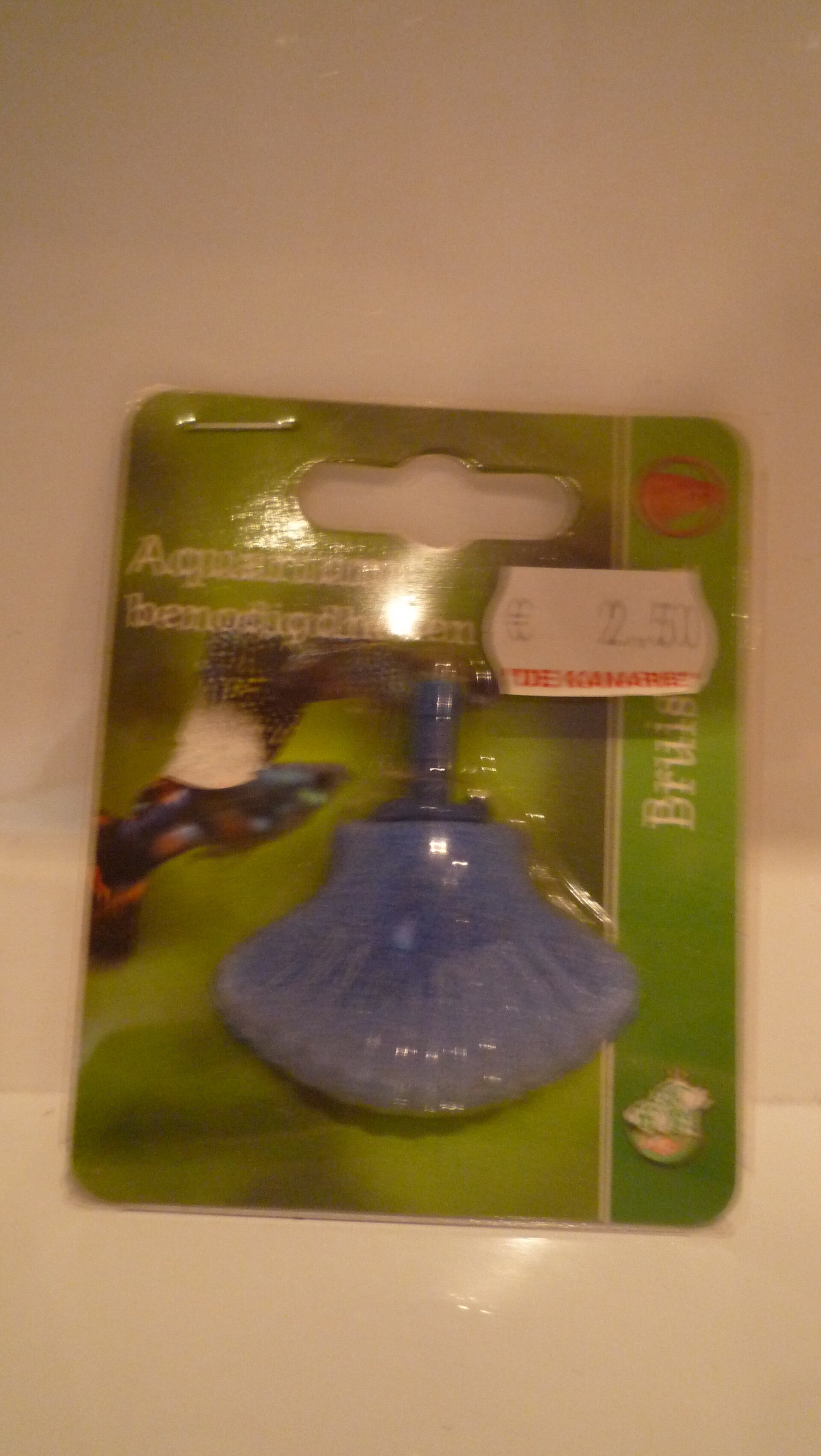 Bruissteen schelp blauw