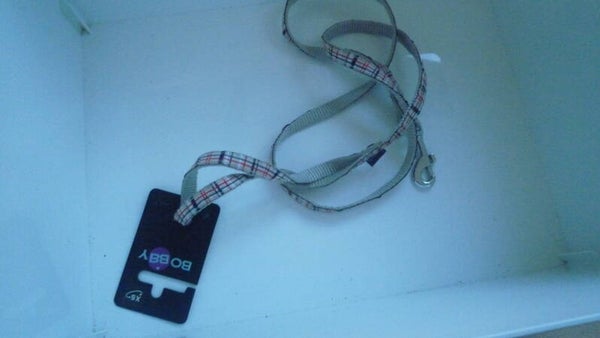 Leiband Bobby Beige met vakjes 105 cm