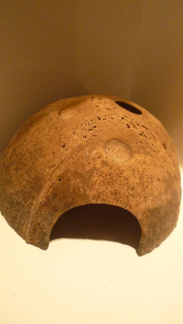 Cocosnoot huisje helft