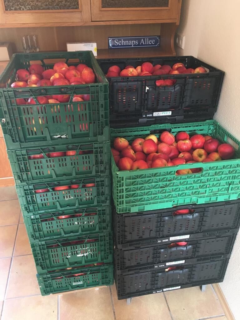 GALA sortenrein, zum brennen