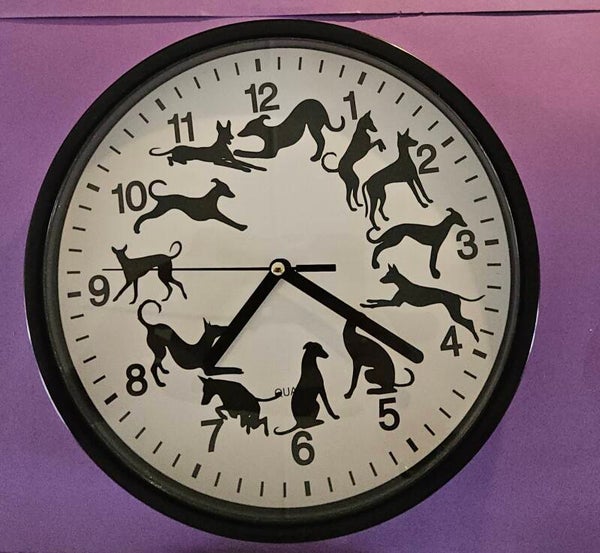 klok met Galgo stickers