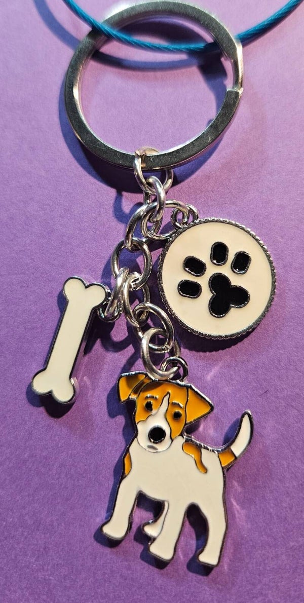 Sleutel hanger met hond, bot en poot