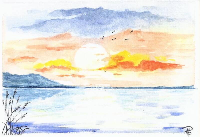 coucher-de-soleil-avec-roseau-standard-k6g3fx.jpg