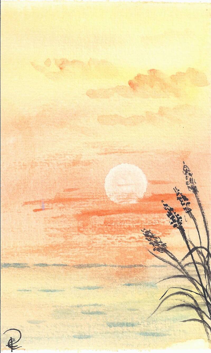 coucher-de-soleil-orange-standard-fsssiq.jpg