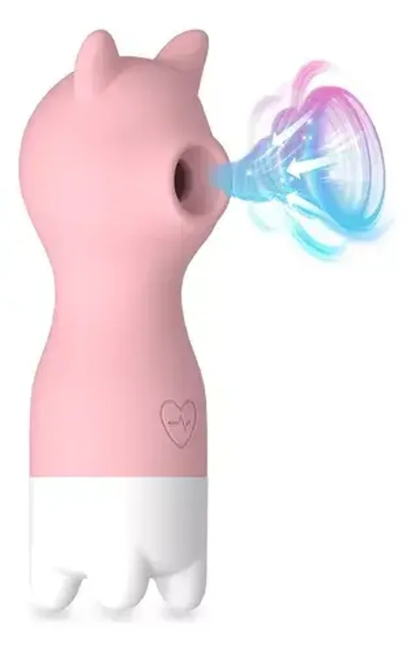 SUCCIONADOR RECARGABLE(agotado)