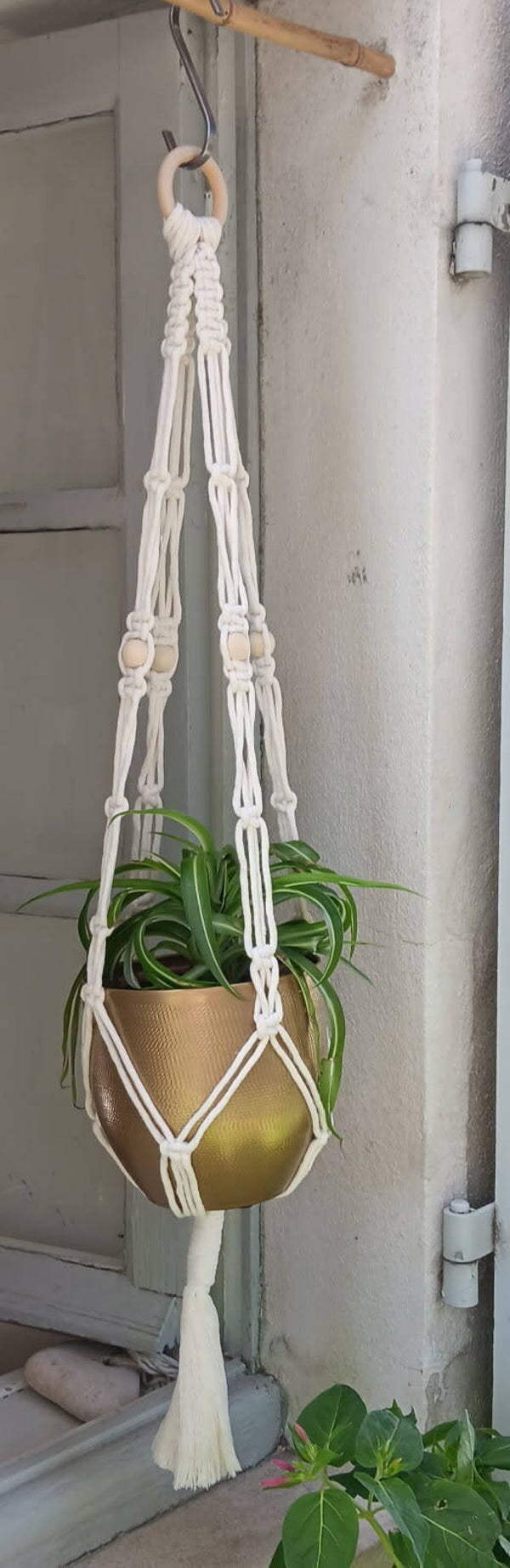 Suspension pour plantes