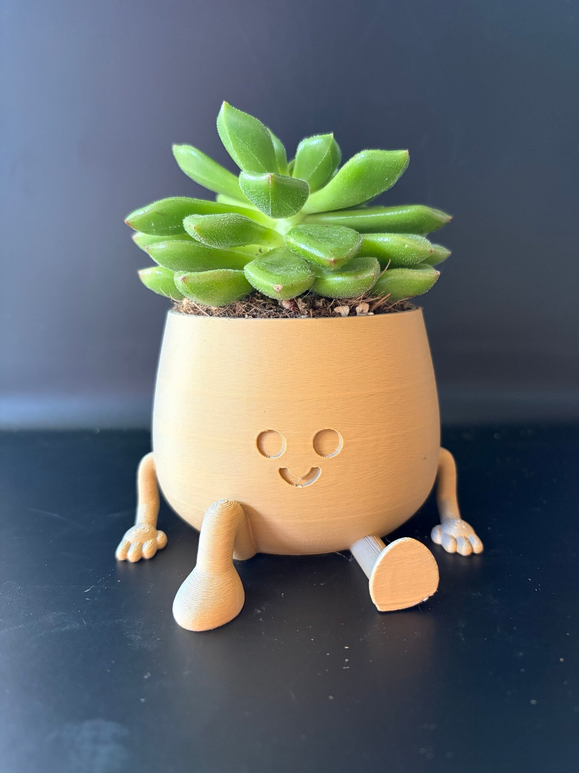 Happy potje Relax medium 3D-print