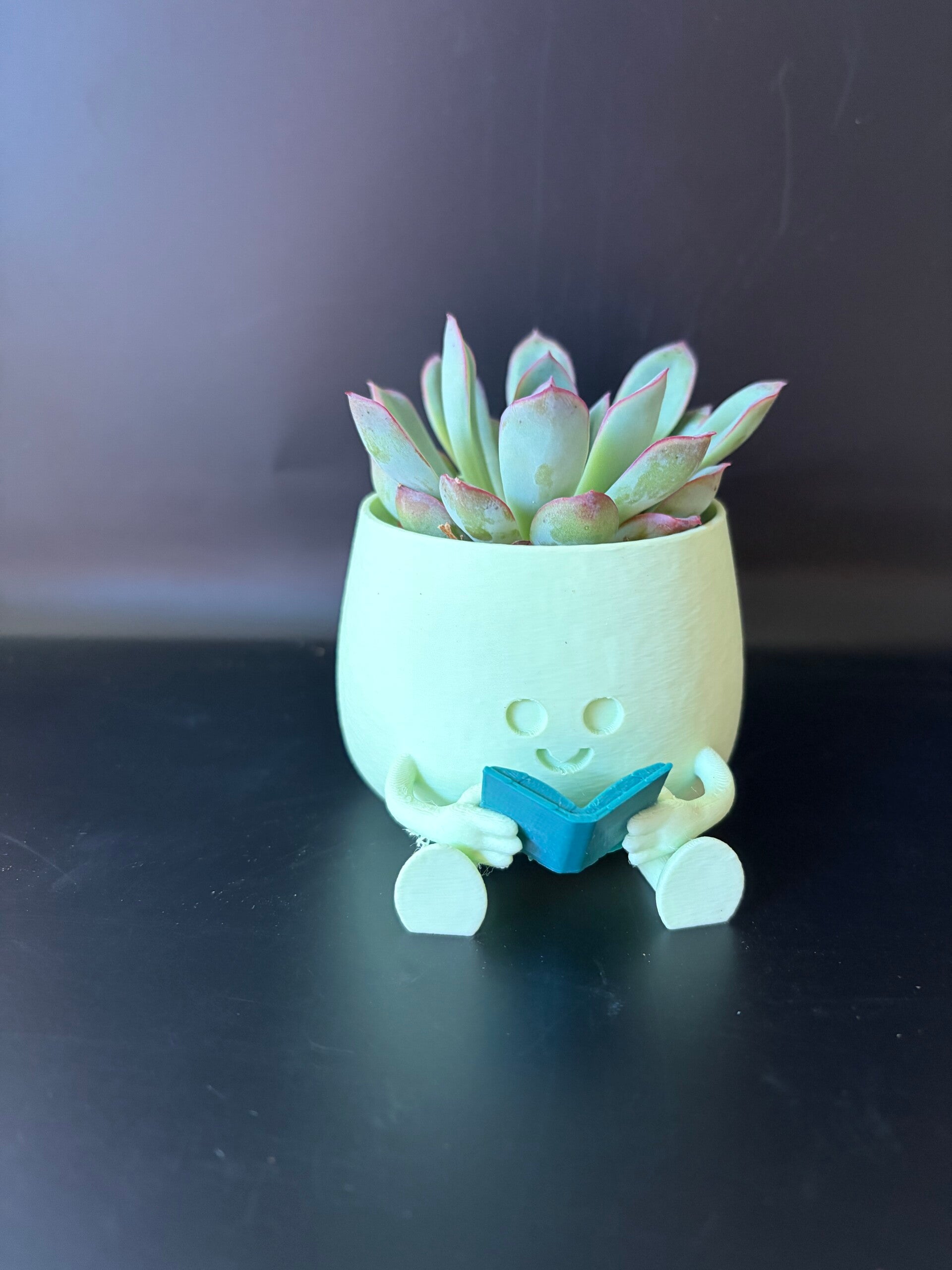 Happy potje boekenvriend small 3D-print
