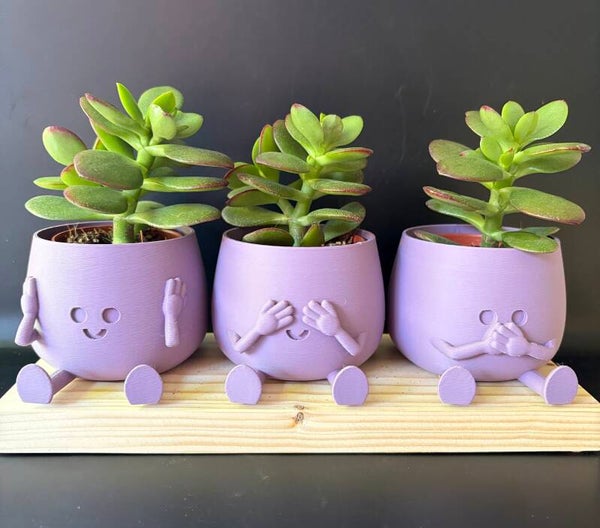 Horen zien zwijgen- bloempotjes 3D-print