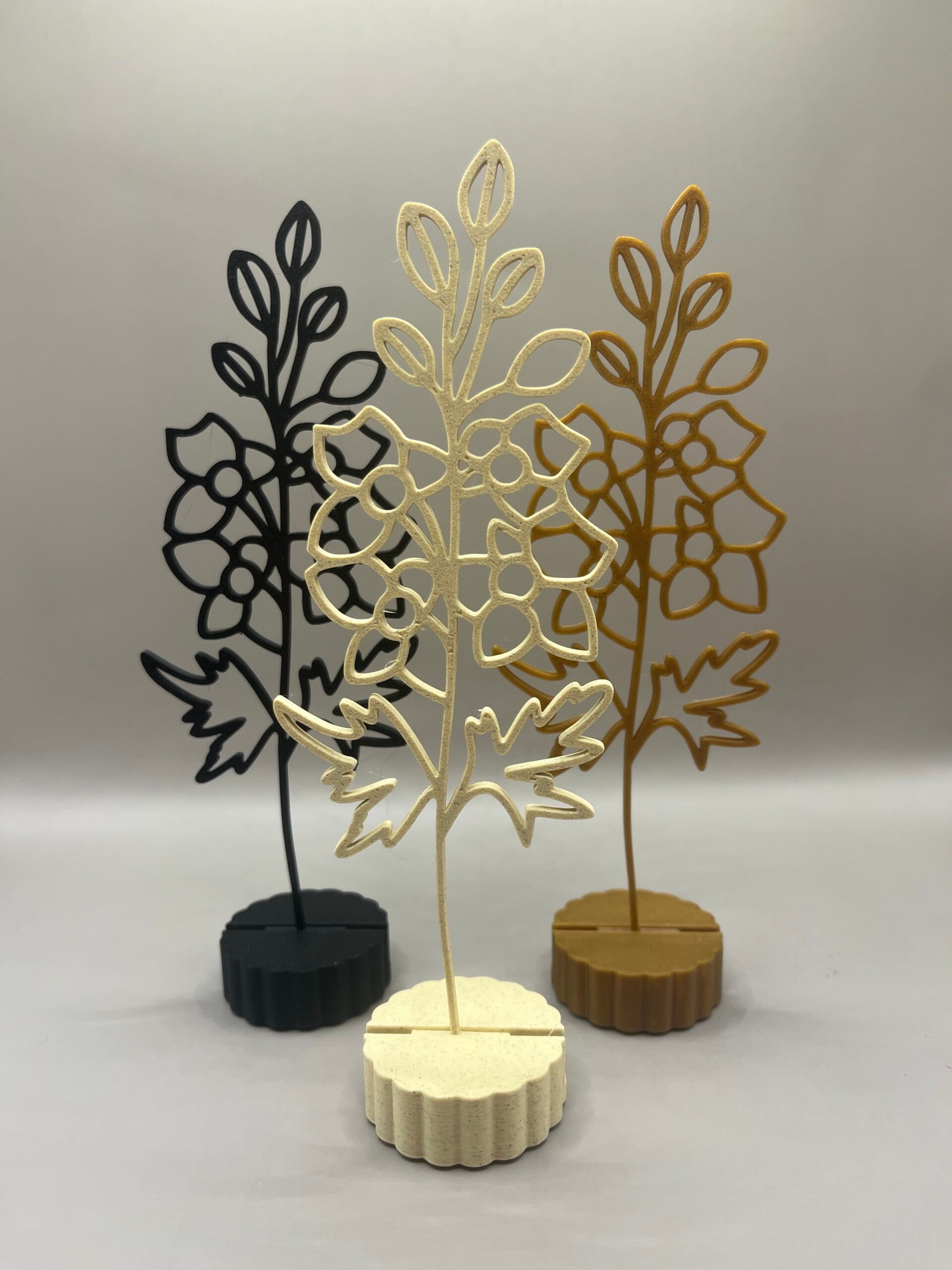 Maandbloem Juli Ridderspoor