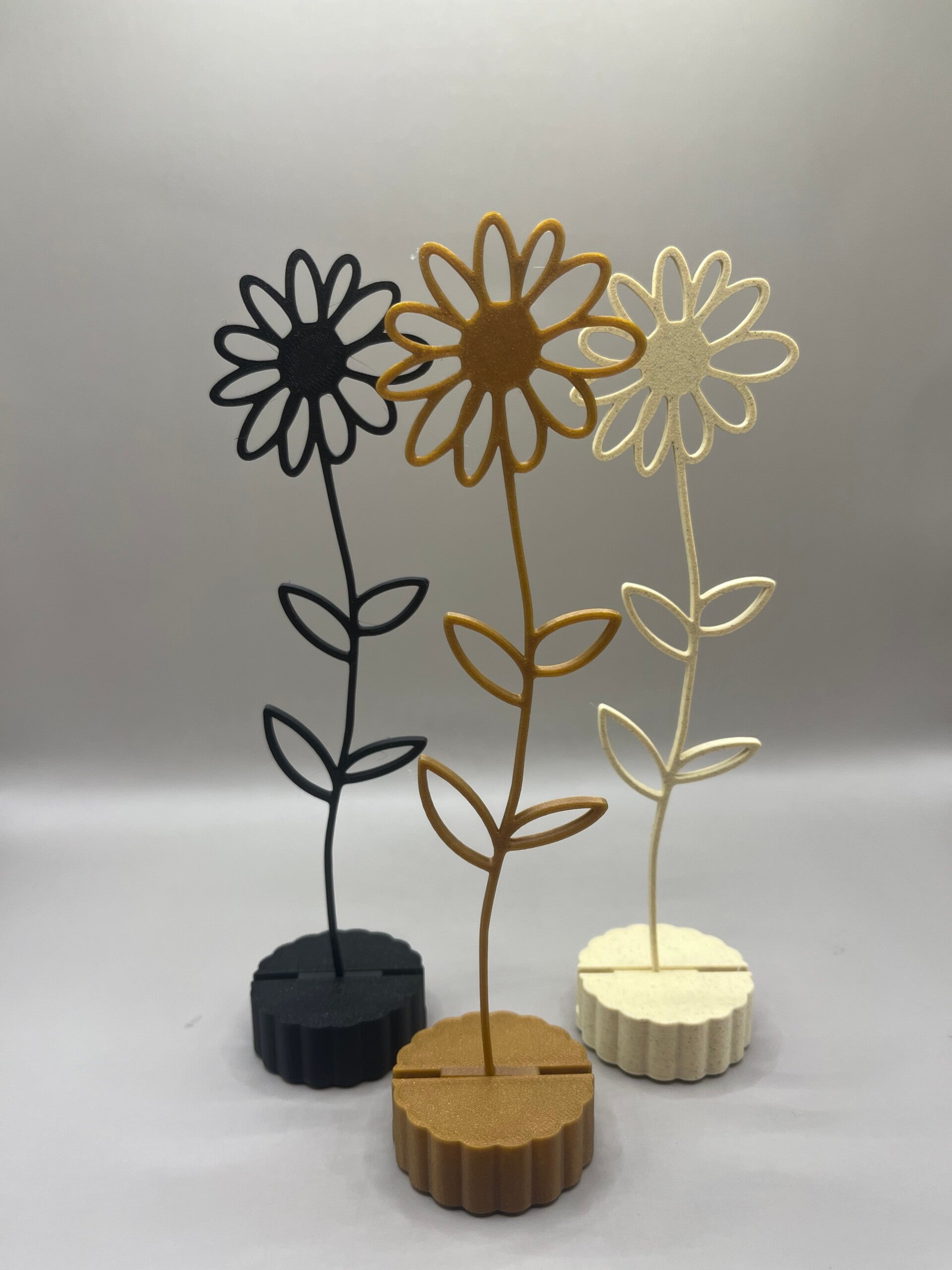 Maandbloem April Madeliefje