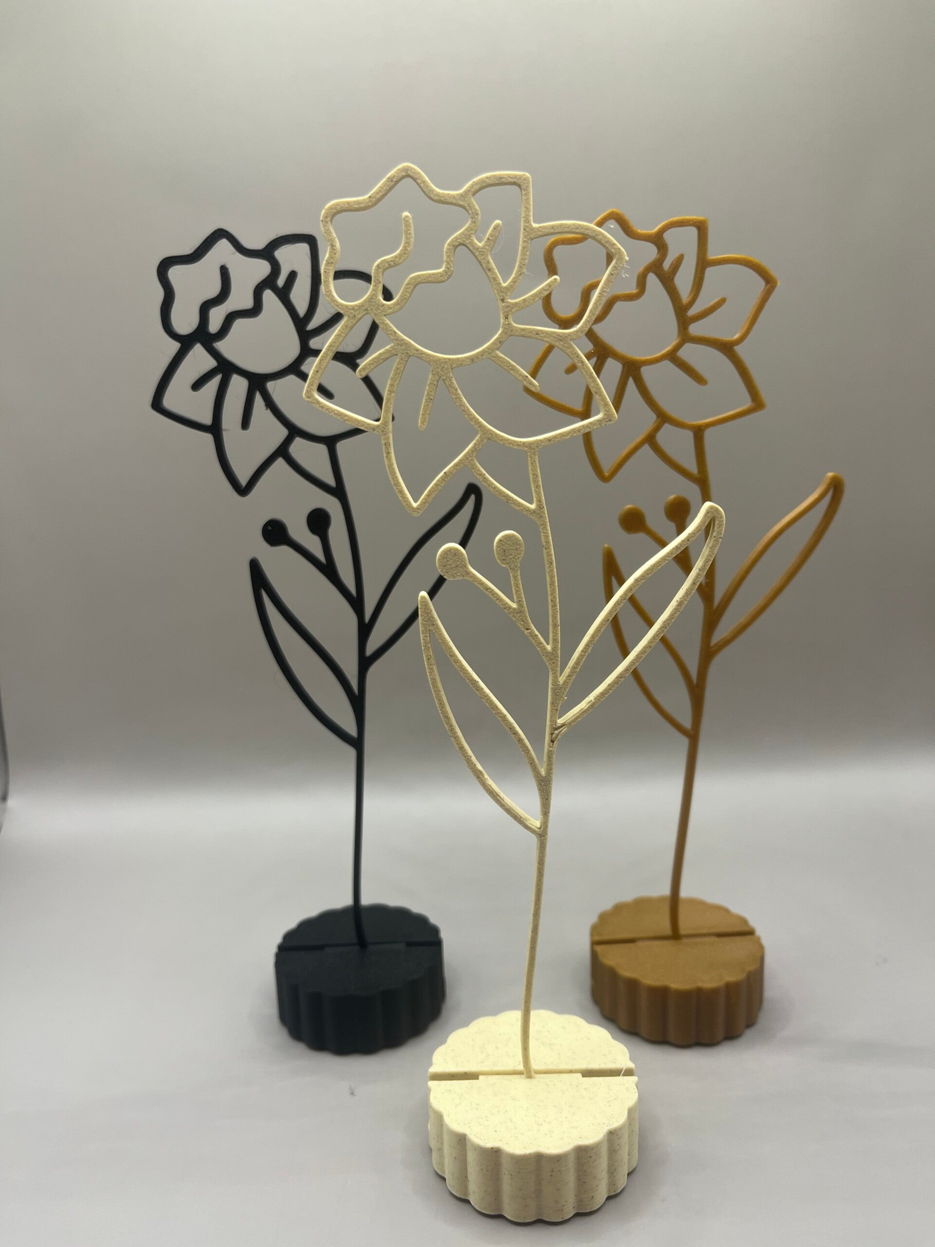 Maandbloem Maart Gele Narcis