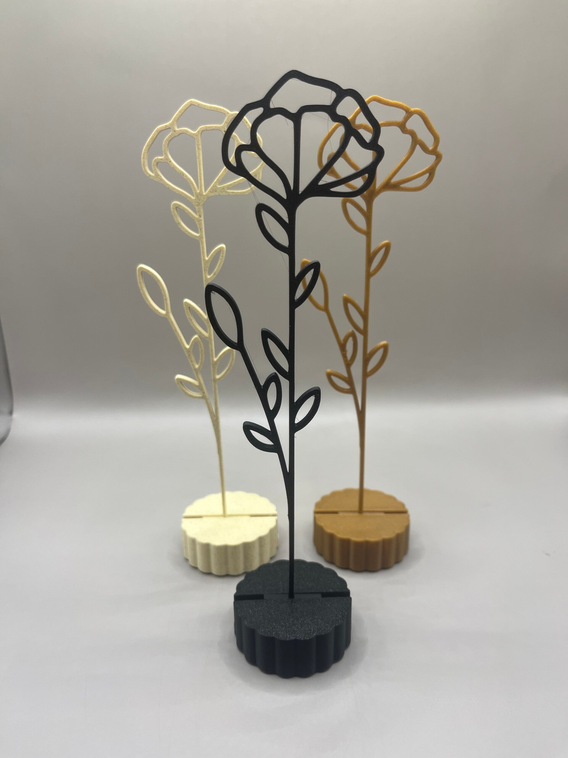 Maandbloem Januari Anjer