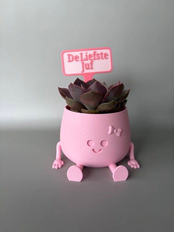 Happy potje small De liefste juf 3D-print
