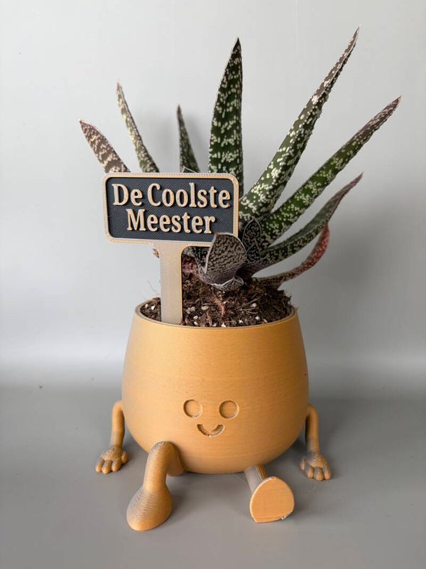Happy potje medium de coolste meester 3D-print
