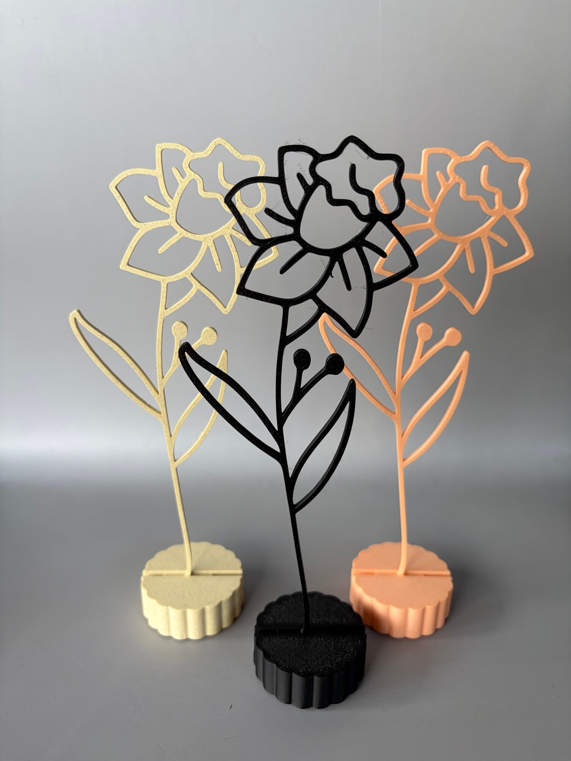 Maandbloem Maart Gele Narcis