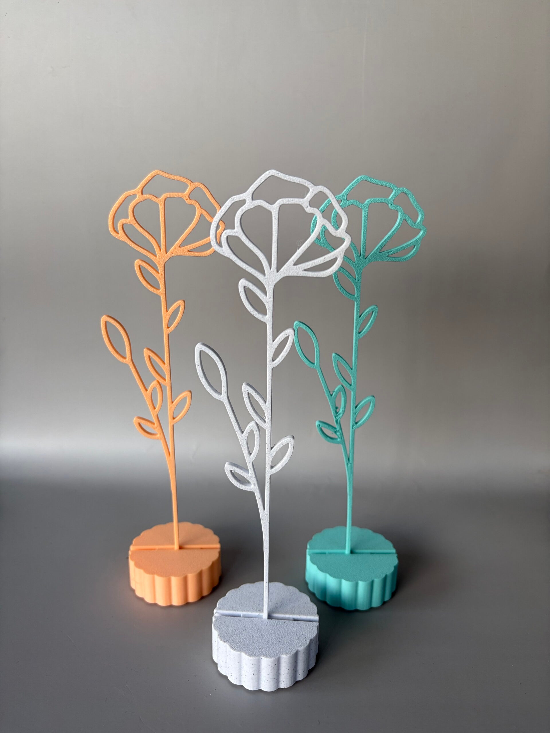 Maandbloem Januari Anjer