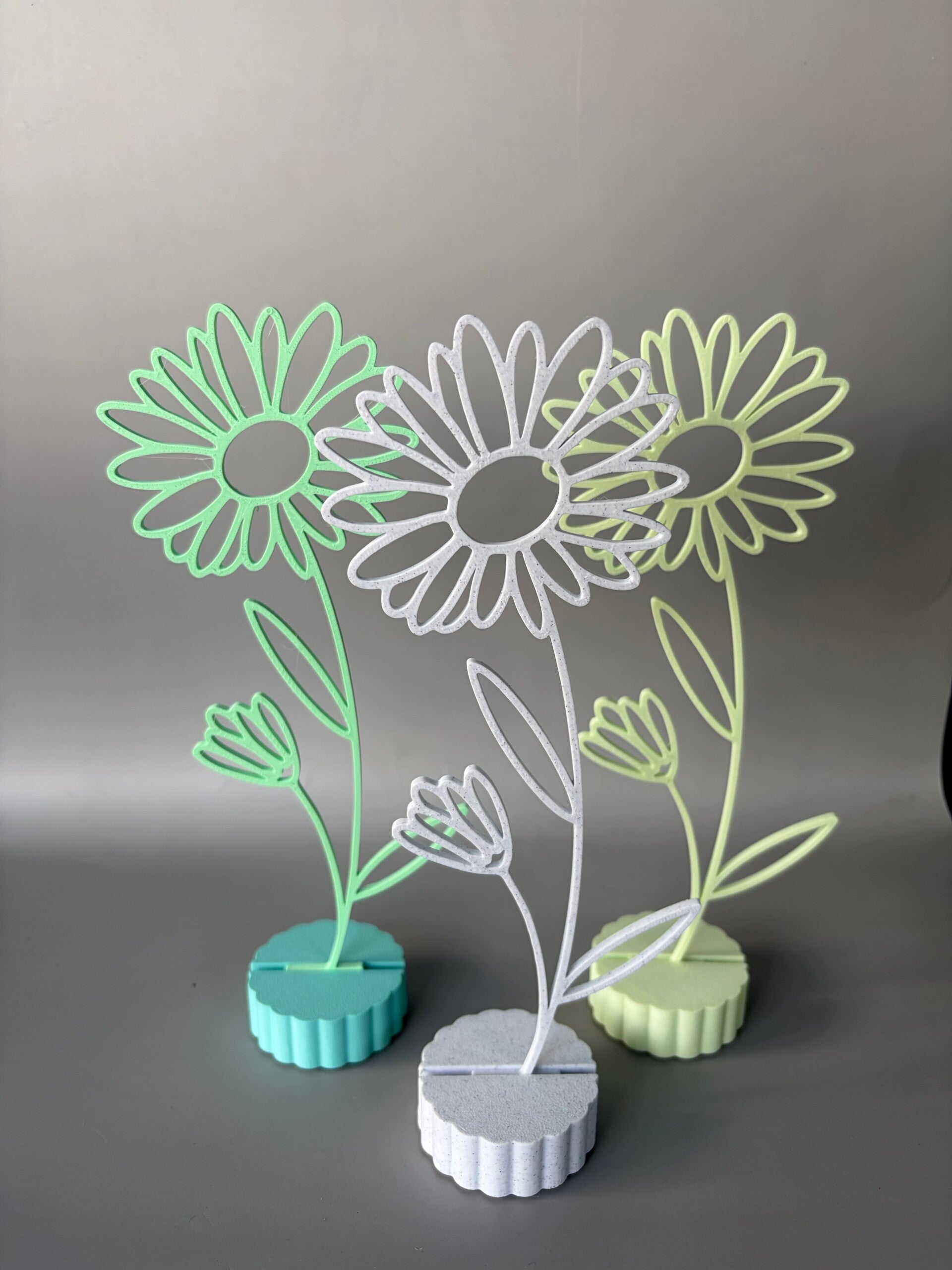 Maandbloem September Aster