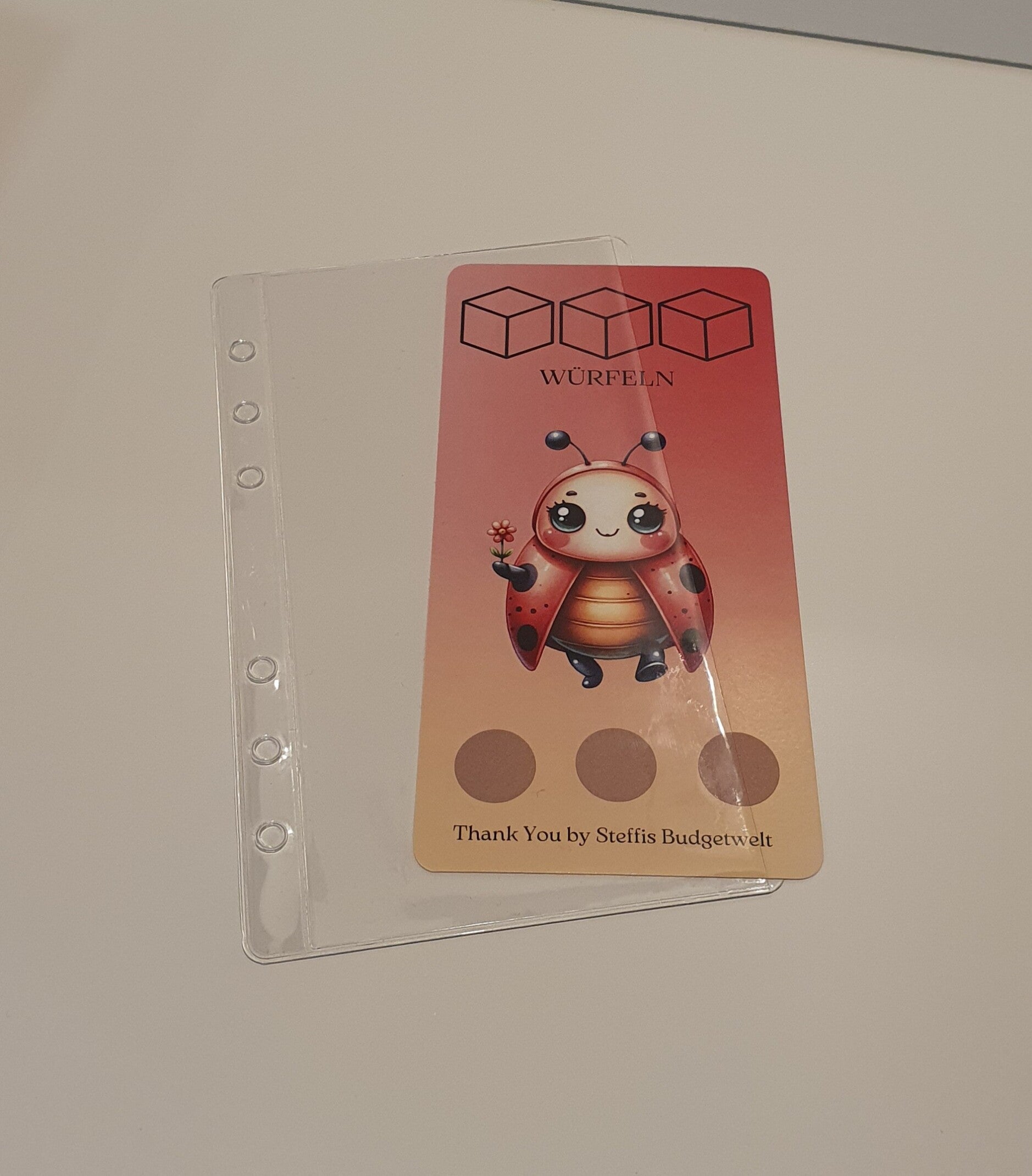 A6-Hüllen (seitlich offen)