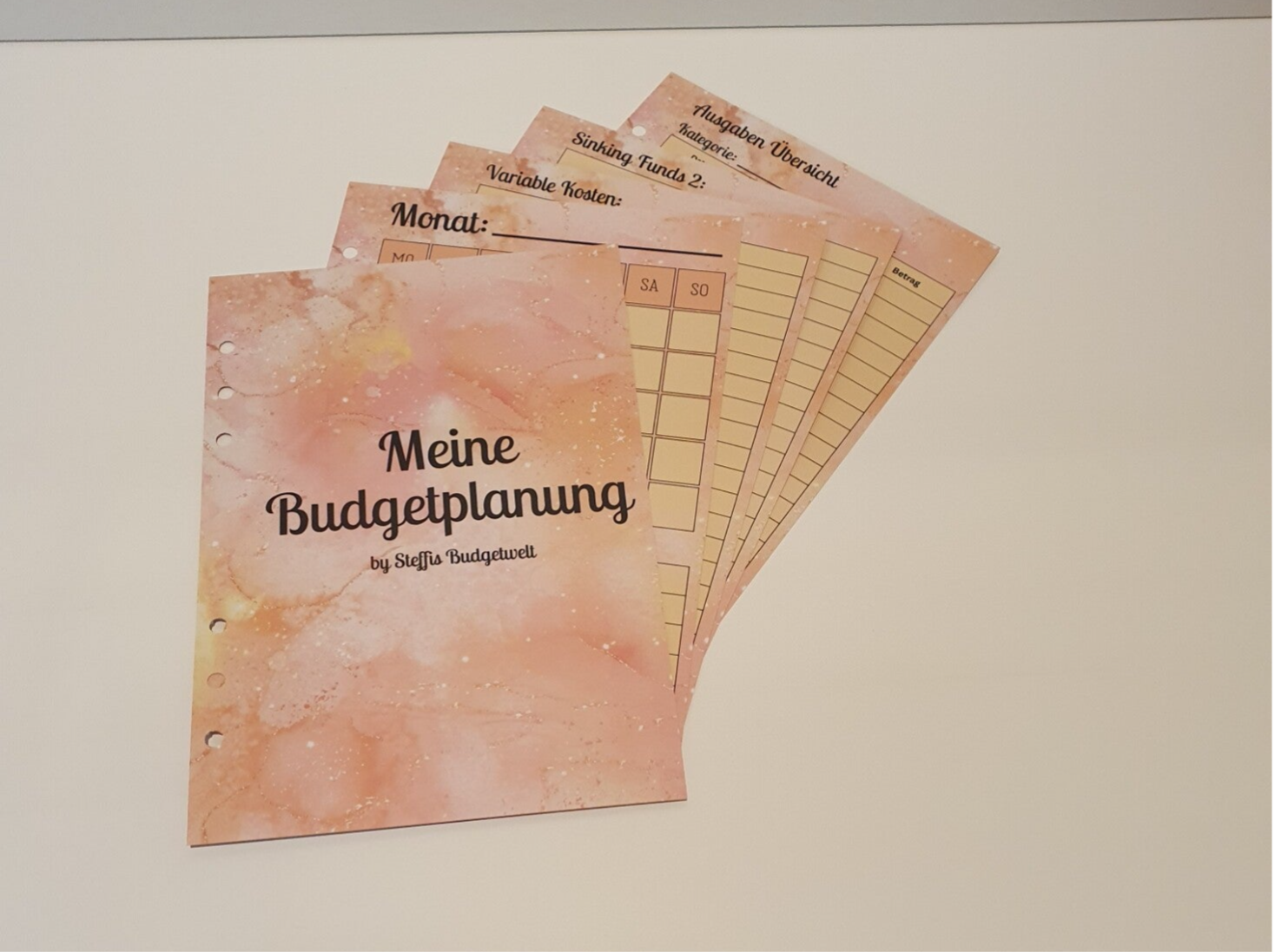 Meine Budgetplanung A5 (foliert)