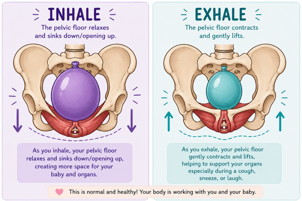 Pelvic Floor Mobility
